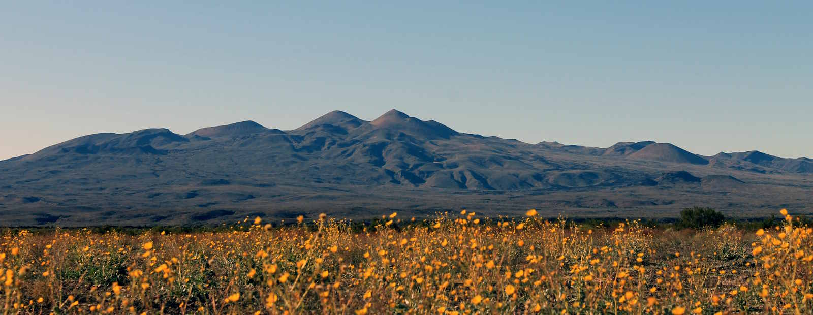 The Moon Men of Mexico’s Sonoran Desert