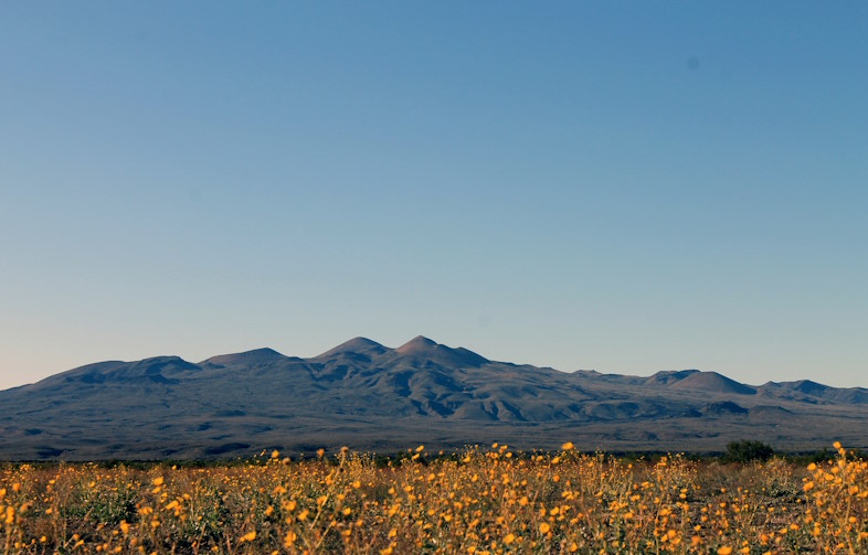 The Moon Men of Mexico’s Sonoran Desert