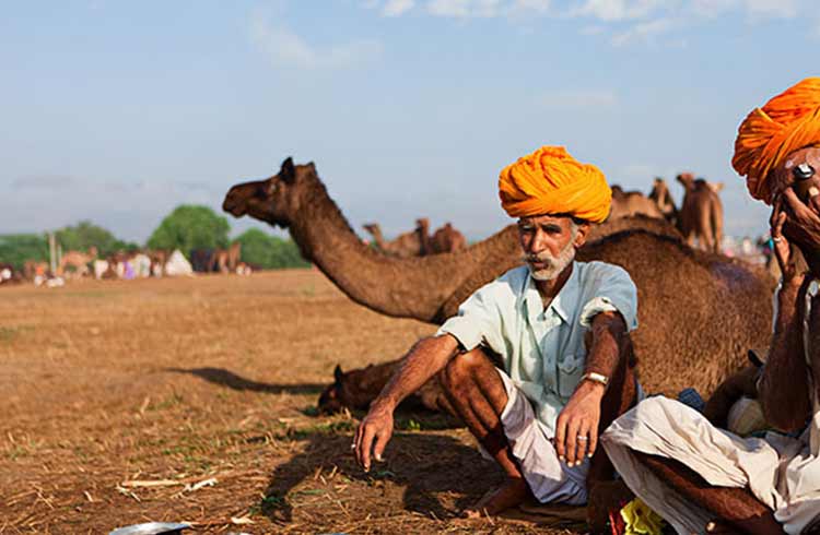 Travel Writers Wanted: India Insiders' Guide