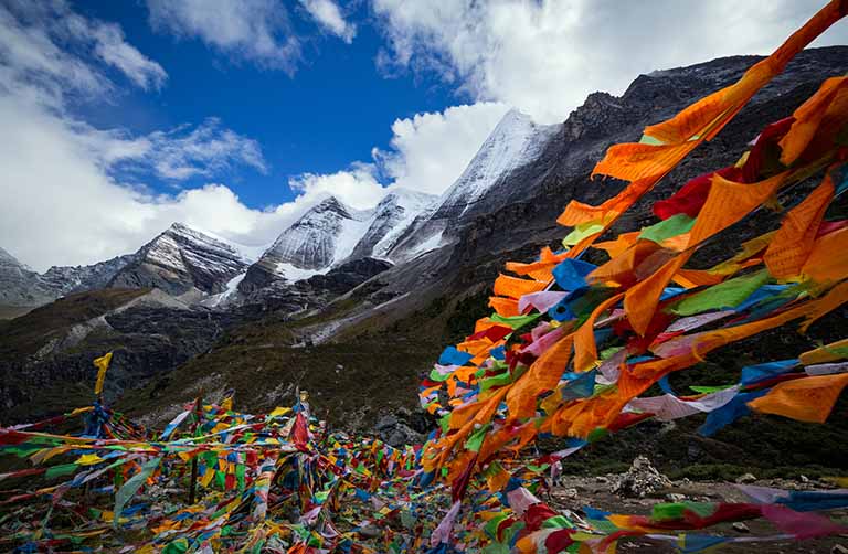 Love Blooms From Near-Death in Tibet