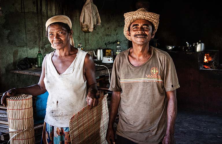 Resistance in Brazil's Rupestrian Grasslands